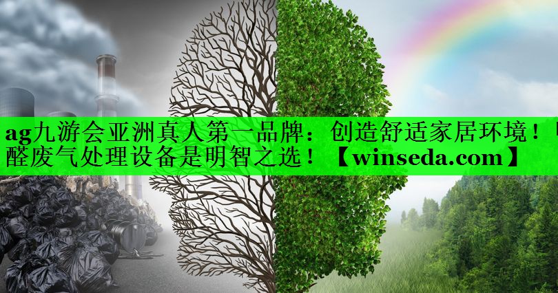 <strong>ag九游会亚洲真人第一品牌：创造舒适家居环境！甲醛废气处理设备是明智之选！</strong>