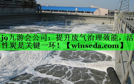 <strong>j9九游会公司：提升废气治理效能，活性炭是关键一环！</strong>