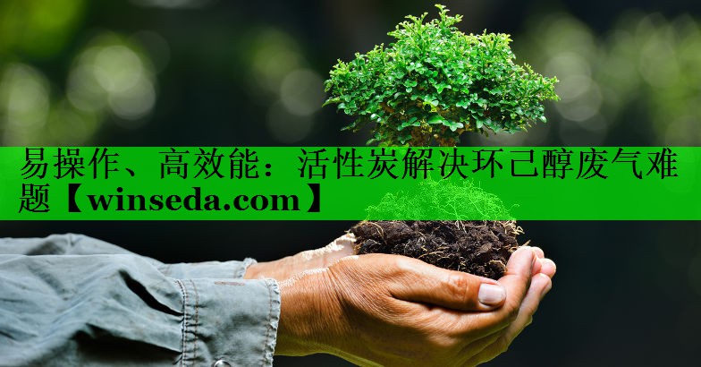 易操作、高效能：活性炭解决环己醇废气难题